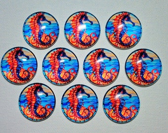 SEAHORSE Magnets Set of 10 One Inch Round Glass Dome Gift Ocean Life SeAHORSE Lover Birthday Beach House Friend *ALL SaME DeSIGN*