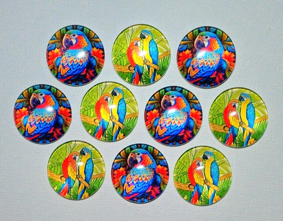 PARROT Macaw MAGNET Set of 10 One Inch Round Glass Dome *five of Each ...