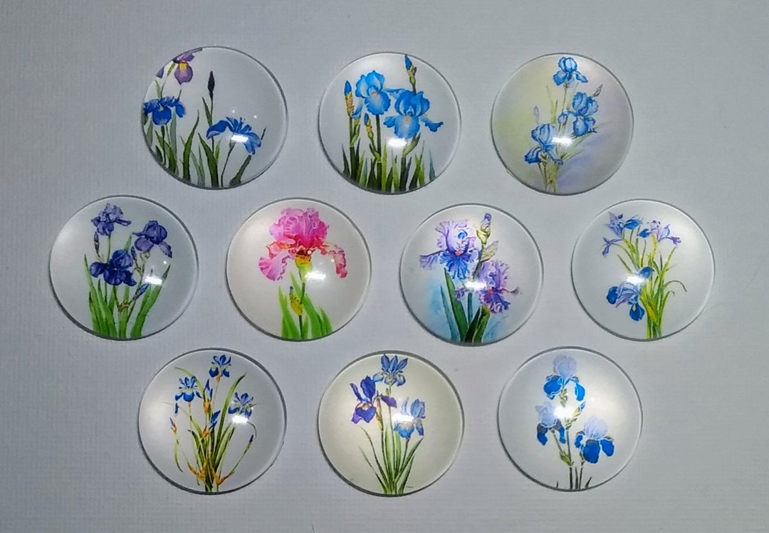 IRIS LOVER Magnets Set of 10 1 Round Glass Dome Purple - Etsy