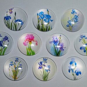 IRIS LOVER Magnets Set of 10 One Inch Round Glass Dome Mom Relative Friend Birthday Thank Watercolor IRIS FLoWERS *Purple Blue Pink*