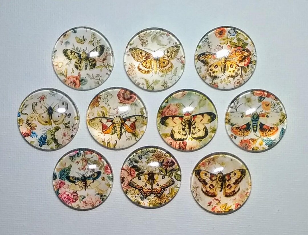 Vintage BUTTERFLY MAGNET SET of 10 One Inch Round Glass Dome - Etsy
