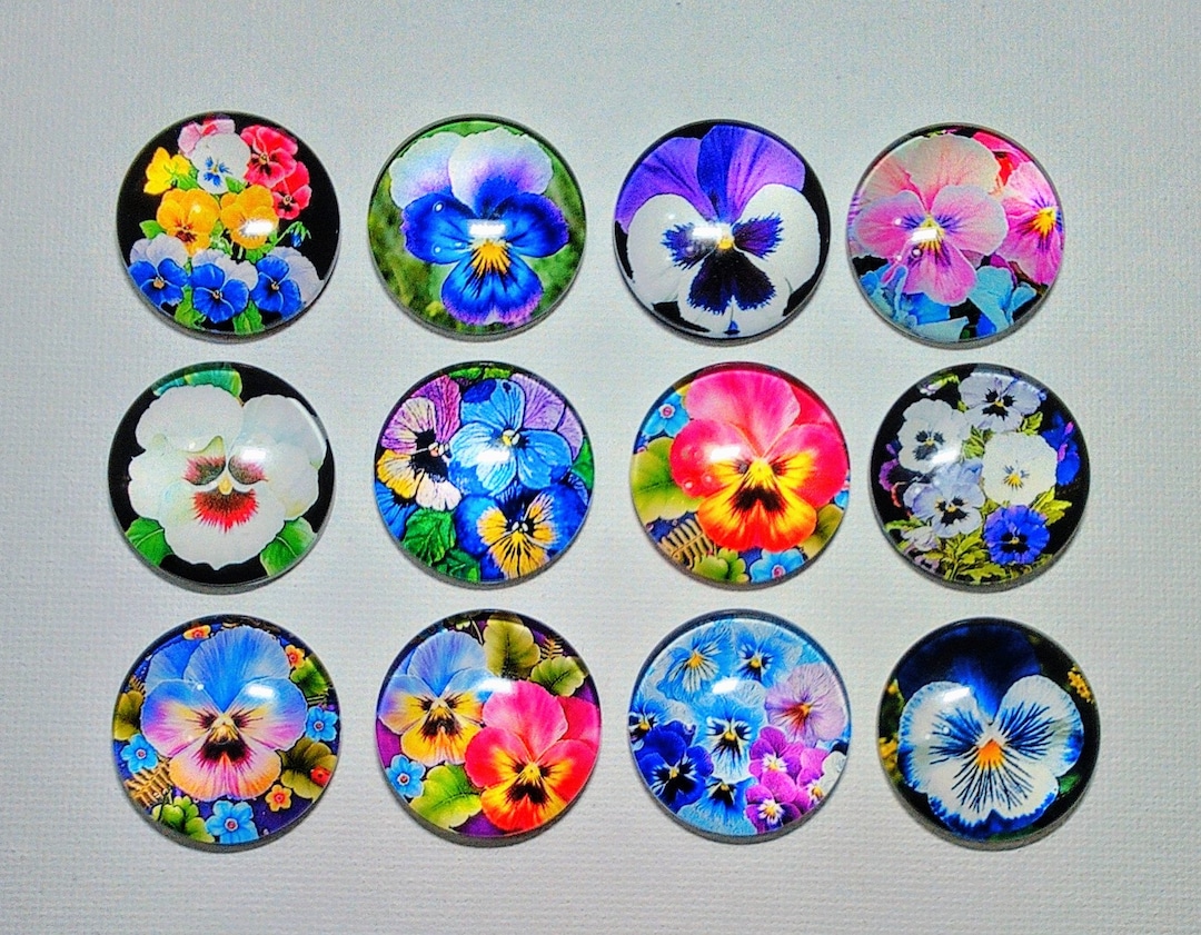 PANSY FLOWERS MAGNET Set of Twelve One Inch Round Glass Dome *the ...