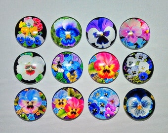 PANSY FLOWERS MAGNET Set of Twelve One Inch Round Glass Dome Birthday Mom Grandma Friend Relative Thanks The Friendliest Flower!