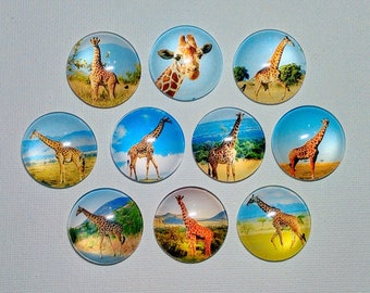 GIRAFFE LOVE MAGNET Set of Ten 1" Round Glass Dome Birthday Mom Dad Grandma Friend Relative Thanks Hang the Artwork! GiRAFFE PHoTOS