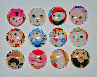 CATS MAGNETS Set of 12 One Inch Round Glass Dome
