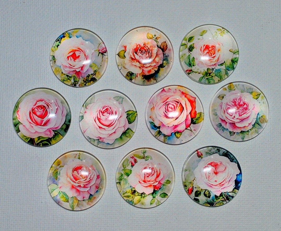 PINK PEACH ROSES Magnet Set of 10 One Inch Round Glass Dome - Etsy