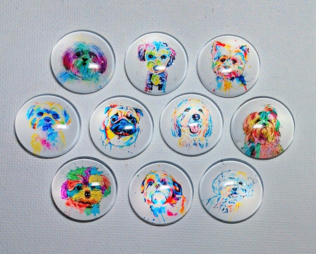 DOG Magnet Set of 10 One Inch Round Glass Dome *soft and Bright ...