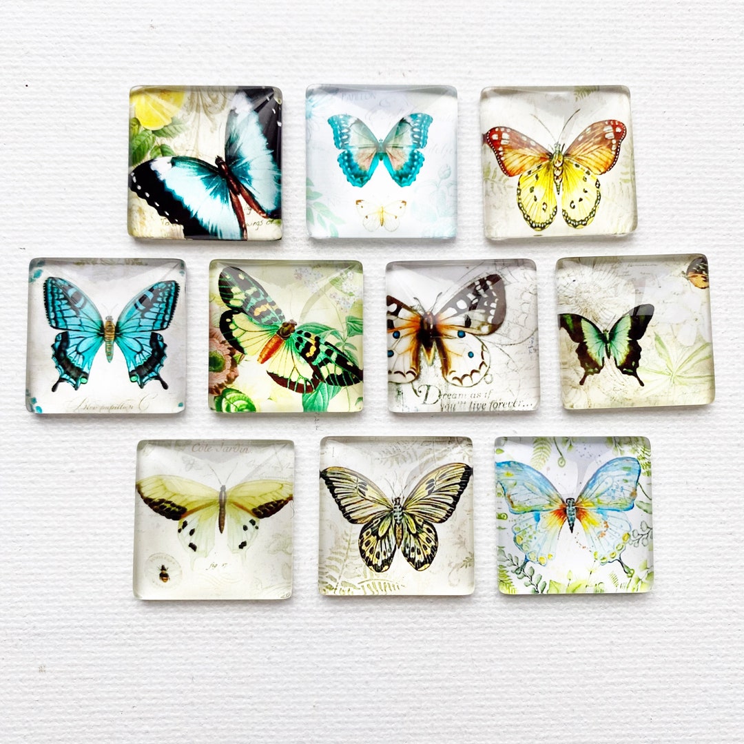 BUTTERFLY MAGNET SET of Ten One Inch Square Glass Dome *natural ...