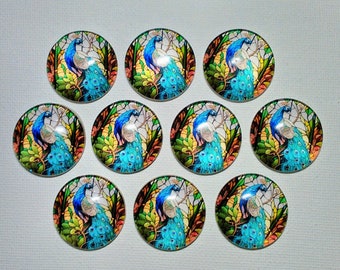 PEACOCK MaGNETS Set of Ten One Inch Round Glass Dome Peacock Plumes Feathers Birthday Mom Friend Relative Thanks *ALL SAME DeSIGN*