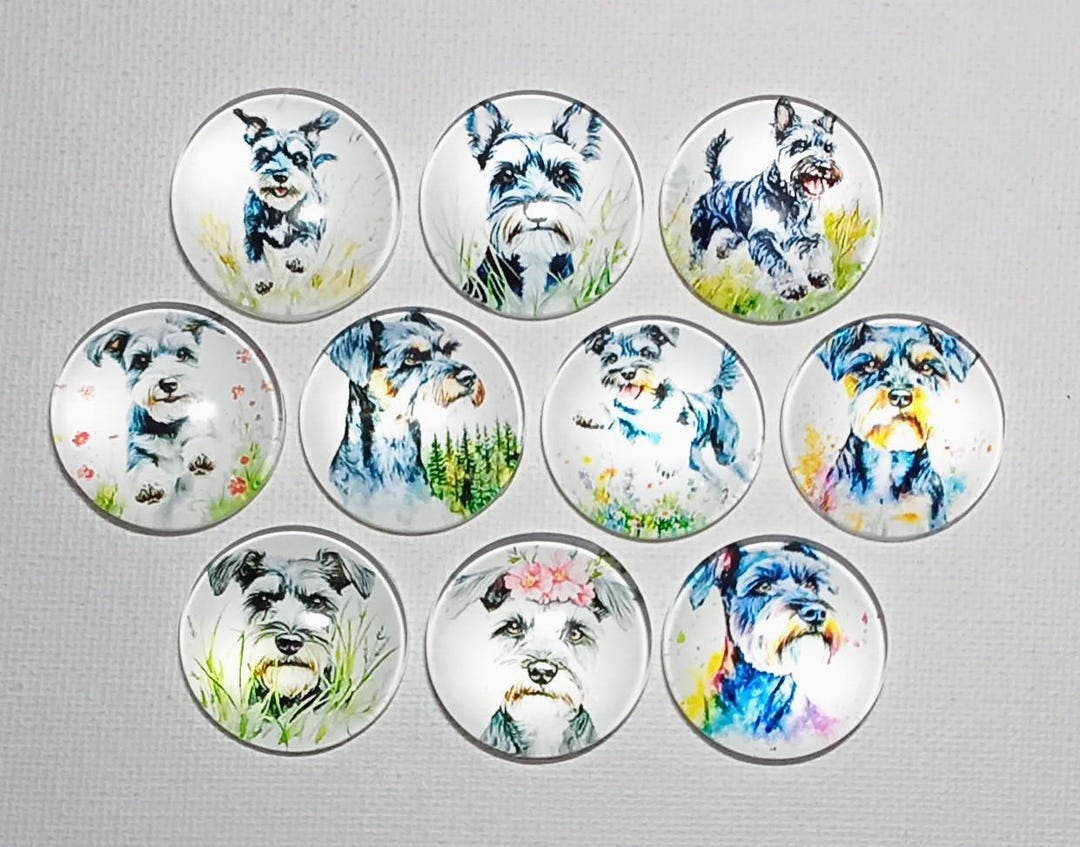 SCHNAUZER DOG Magnet Set of Ten One Inch Round Glass Dome *soft and ...
