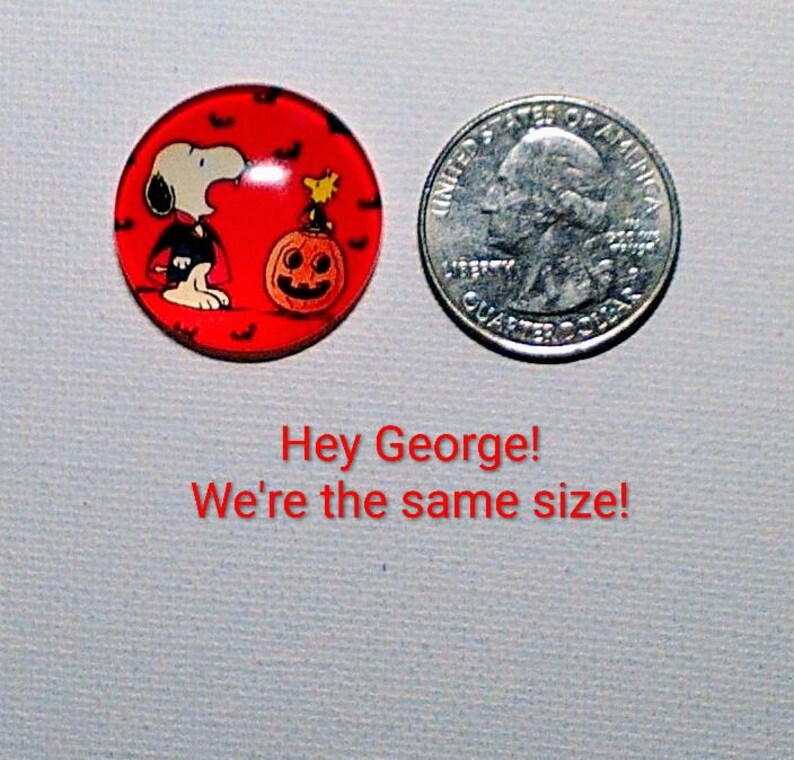 LADYBUG MAGNET SET of 10 One Inch Round Glass Dome *ladybugs Just Being ...