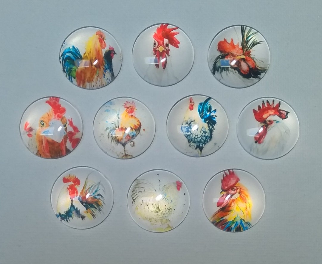 ROOSTERS MAGNET Set of 10 One Inch Round Glass Dome *soft & Bright ...