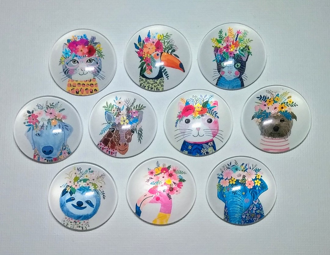 ANIMAL FLOWER MAGNETS Set of 10 One Inch Round Glass Dome - Etsy
