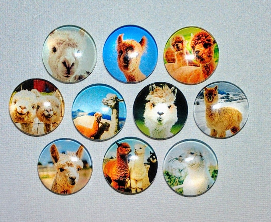LLAMA Animal Magnets Set of 10 One Inch Round Glass Dome - Etsy