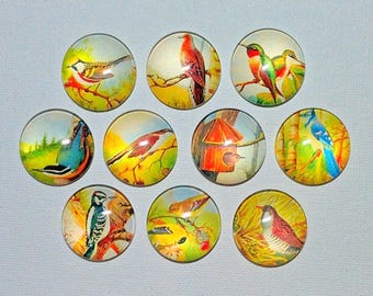VINTAGE BIRDS MAGNET Set of 10 One Inch Round Glass Dome Him Her Mom Relative Friend Gift Birthday Thanks *Vintage Bird Art*