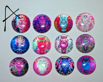 OWLS Magnet Set of 12 One Inch Round Glass Dome *Choose Set A or B* Owl Lover Gift