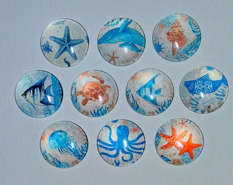 OCEAN SEA LIFE Magnets Set of 10 One Inch Round Glass Dome Gift Starfish Seahorse Jellyfish Birthday Thanks She Shed Friend Hang Artwork!