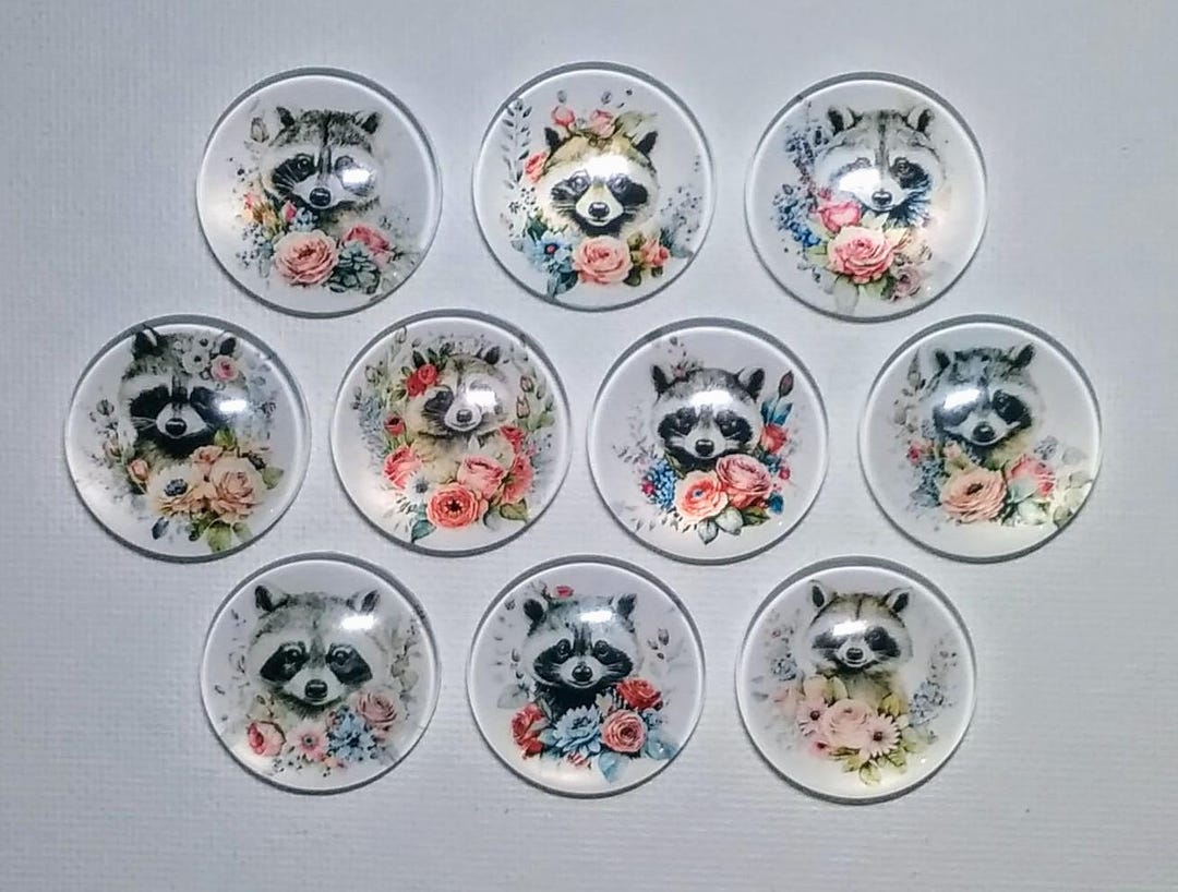 RACCOON Magnets Set of 10 One Inch Round Glass Dome - Etsy
