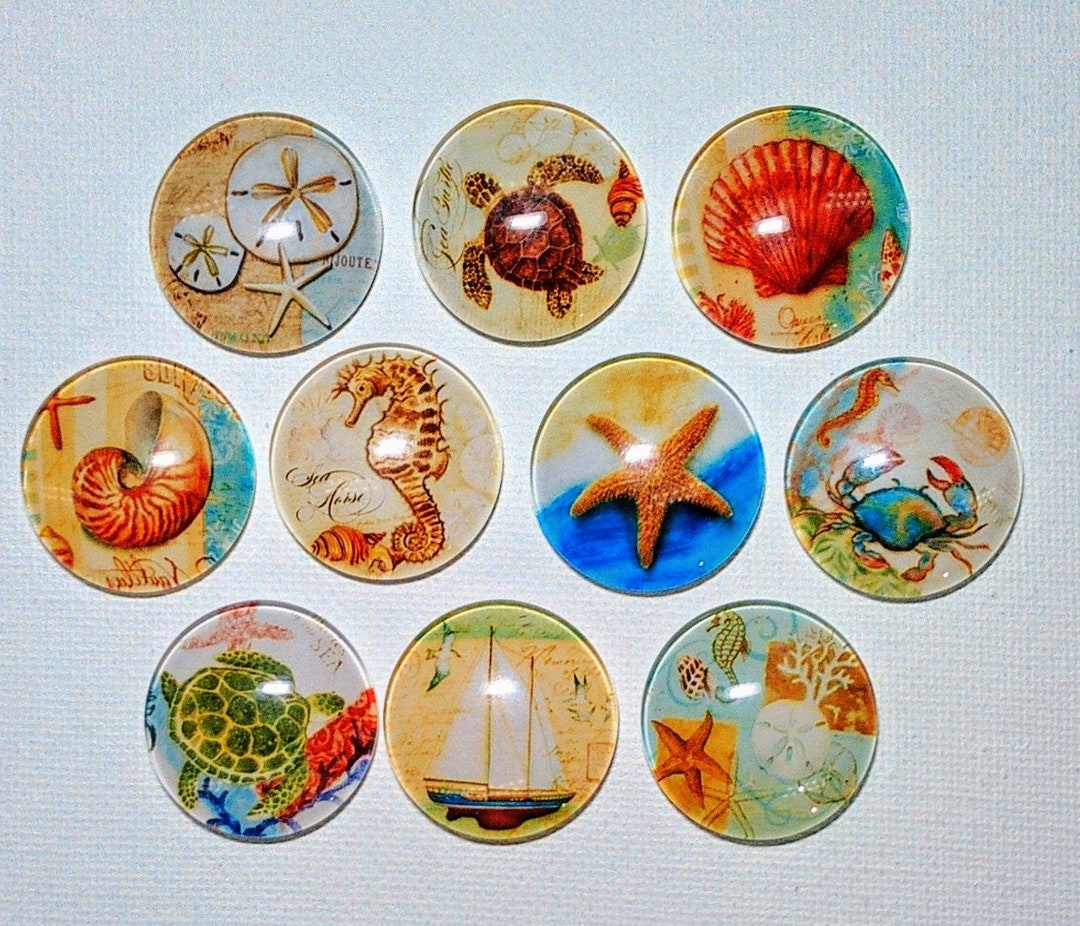 OCEAN LIFE MAGNET Set of 10 One Inch Round Glass Dome *shell Seahorse ...