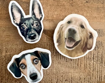 Custom Pet Magnet | Personalized Dog Acrylic Magnet | Pet Photo Magnet | Pet Lover Gift | Pet Memorial Gift