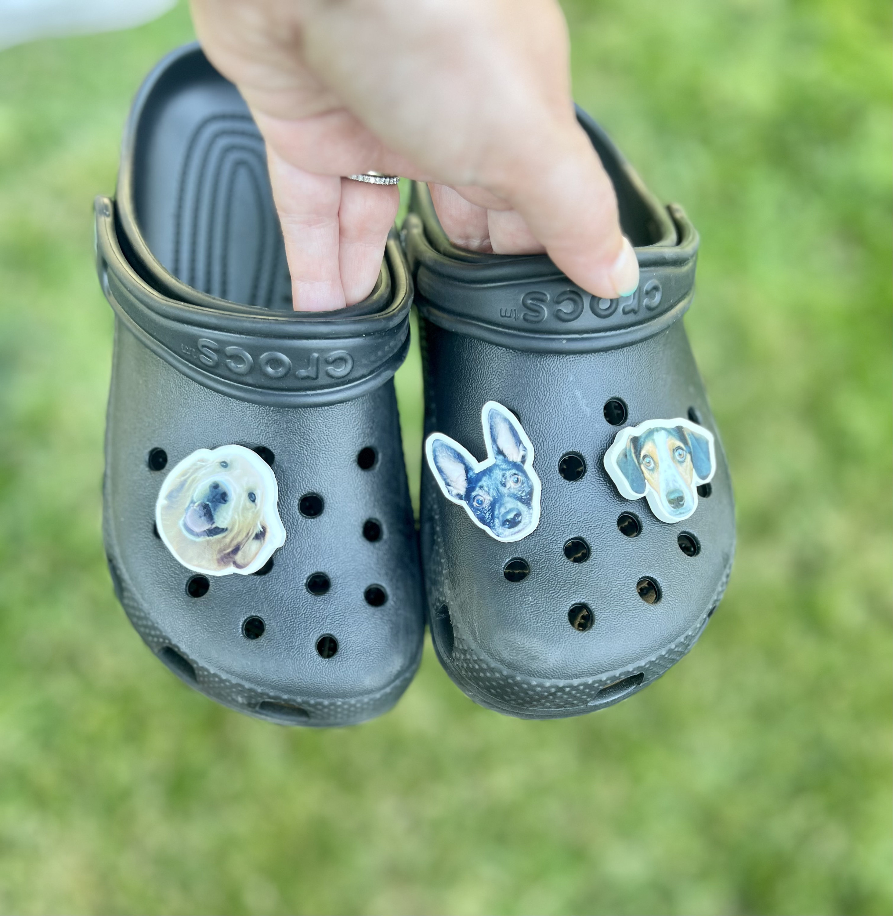 6 Must-Have Crocs Charms & Jibbitz on  - Caressa Losier