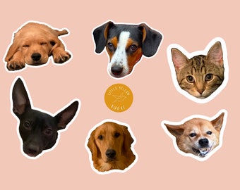 Custom Pet Vinyl Decals | Custom Dog Vinyl Decals | Custom Cat Vinyl Decals | Pet Stickers