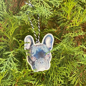 Custom Pet Ornament | Personalized Holiday Ornament | Christmas Cat Photo Ornament | Dog Photo Ornament | Pet Lover Gift | Pet Memorial Gift