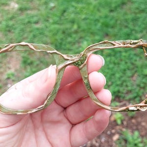 May include: Unique eyeglasses with a skeletal figure on the right side. The frames are a muted green with brown accents, and the design incorporates a natural, organic aesthetic. The glasses are held against a blurred green background.
