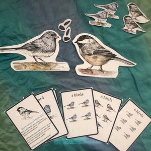 Identification des oiseaux d'hiver de la Nouvelle-Angleterre - Comptage, cartes mémoire de suivi des nombres, manipulations mathématiques, affiche - Waldorf, Homeschool