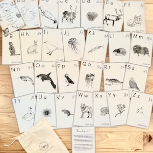 Flashcards do alfabeto da sala de aula da Arctic Tundra - cartões ABC desenhados à mão com lobo ártico, papagaio-do-mar, raposa, coruja das neves, narval e muito mais!