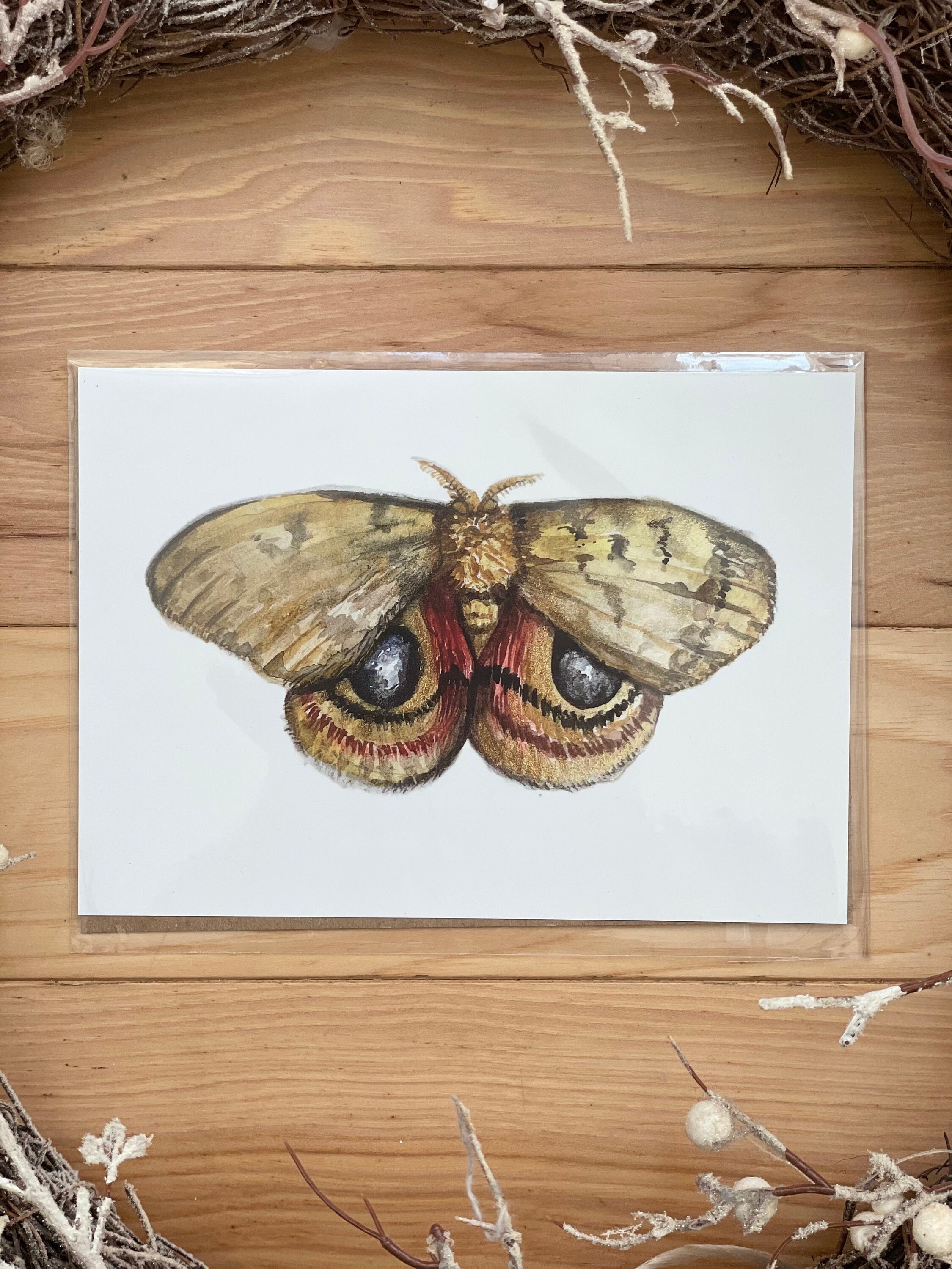 Io Moth Watercolor Fine Art Print / Insect / Moths / Nature Artwork ...