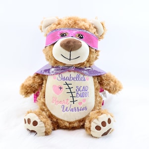Personalized Stuffed Animal, Heart Warrior, Scar Buddy