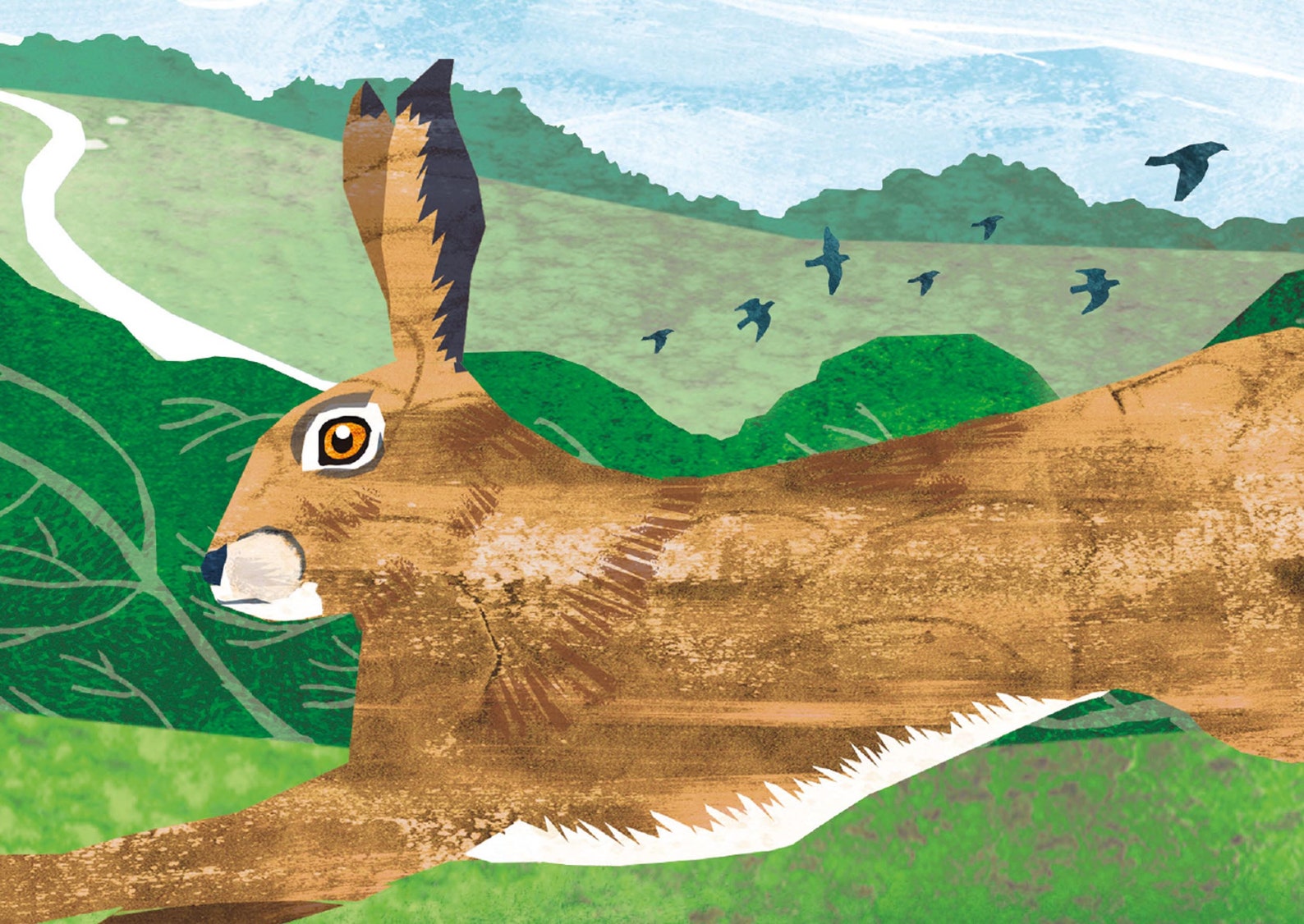 Spring Hare Greeting Card - Etsy