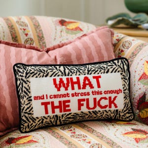 WTF Needlepoint Pillow, Funny Lumbar Accent Pillow, Embroidered Throw Cushion, Quirky Housewarming Gift, Couch Decor, Furbish