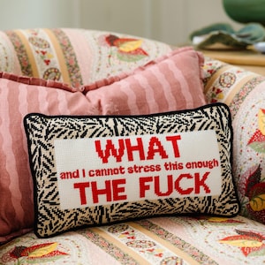 WTF Needlepoint Pillow, Funny Lumbar Accent Pillow, Embroidered Throw Cushion, Quirky Housewarming Gift, Couch Decor, Furbish