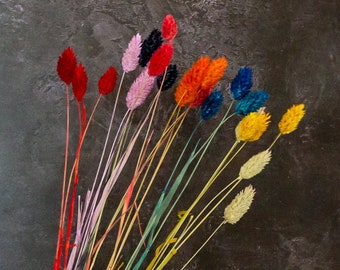 May include: A bouquet of dried grasses dyed in various colors, including red, orange, yellow, green, blue, and pink. The bouquet is held in a hand against a dark gray background.