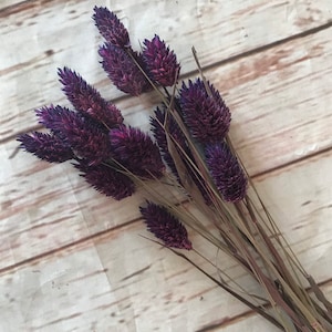 May include: A bunch of dried purple flowers with long stems. The flowers are arranged in a bouquet and are tied together with a brown ribbon.