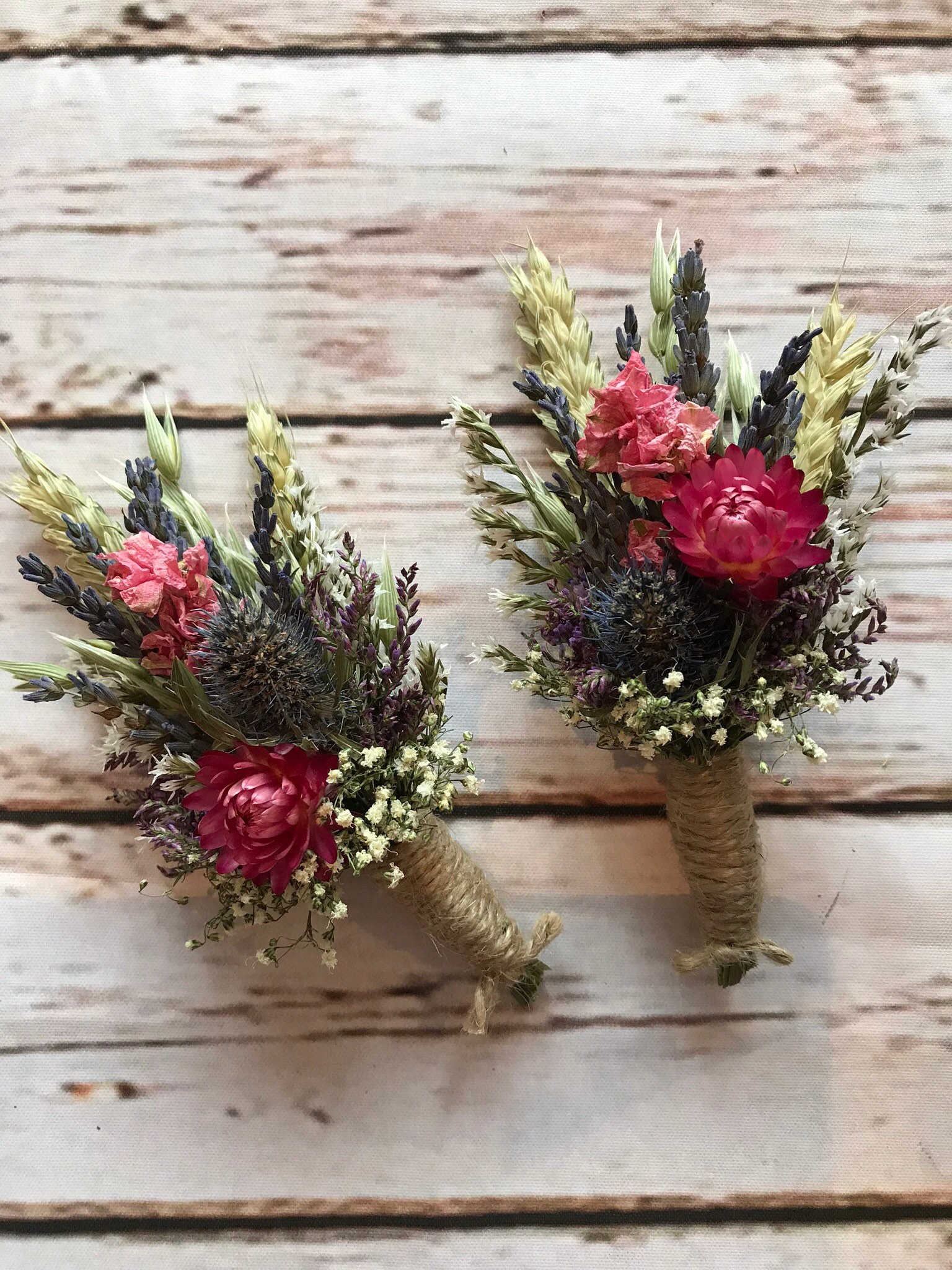 Blue Thistle Burgundy Dried Flowers /preserved Daisy Flowers