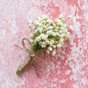 Gypsophila Wedding Buttonholes. Dried Flowers for the Groom. Baby's Breath Floral Wedding Boutonniere. Dried Flower Corsage of Gypsophila.