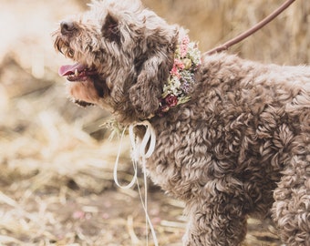 Wedding Dog Collar, handmade from dried flowers, country wedding style, rustic garland for your pet.