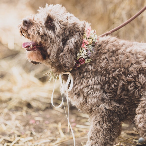 Wedding Dog Collar, handmade from dried flowers, country wedding style, rustic garland for your pet.