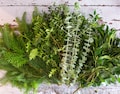 Festive Fresh Foliage Pack. A mixture of seasonal floristry grade foliage for creating Christmas wreaths, garlands, bouquets and more.