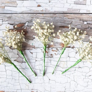 Dried Flower Gypsophila Hair Wires. Dried Flower Pins of White Baby's Breath. Floral Wedding Bridal Hair Piece, Grips, Pins, Clips, Combs.