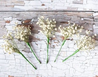 Dried Flower Gypsophila Hair Wires. Dried Flower Pins of White Baby's Breath. Floral Wedding Bridal Hair Piece, Grips, Pins, Clips, Combs.