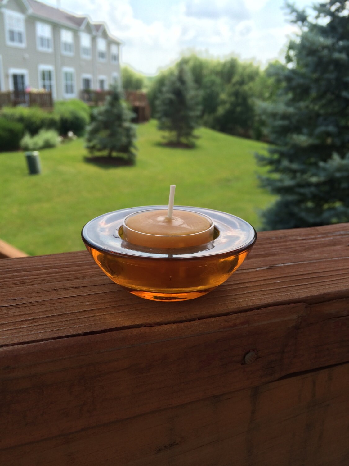 Citronella Essential Oil Beeswax Tealight Candles Zax Etsy