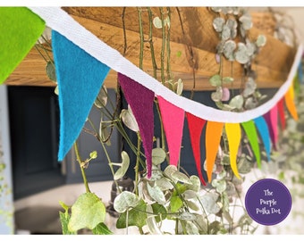 Felt rainbow mini bunting garland banner birthday party