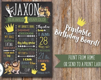 Where the Wild Things are Birthday Board, First Birthday Board, Wild One, 1