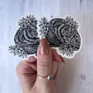 Floral Anatomy Brain Sticker, Brain Anatomy Sticker, Anatomical Brain, Anatomy Stickers, Medical Stickers, Healthcare Gifts, Laptop Decal