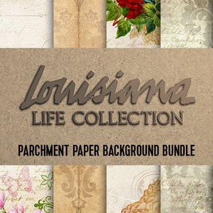Louisiana Life Parchment Paper Texture Background Bundle