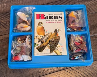 Golden Nature Guide Vögel Buch Set Vintage Plastik Vogel Modell Figur Neu